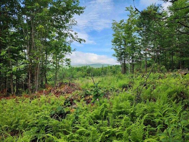 Land for sale in New Hampshire