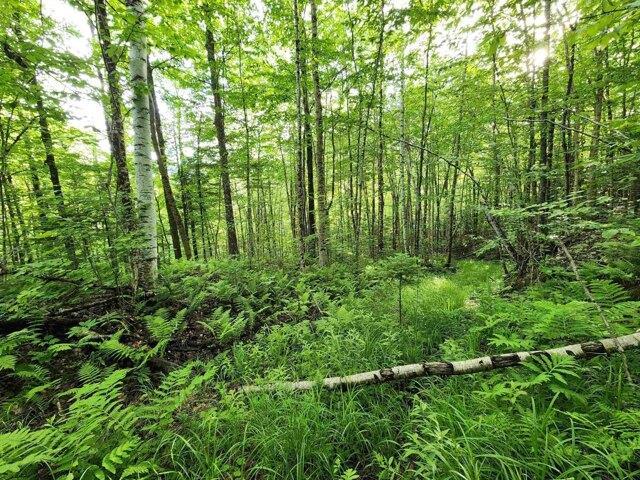 Land for sale in New Hampshire
