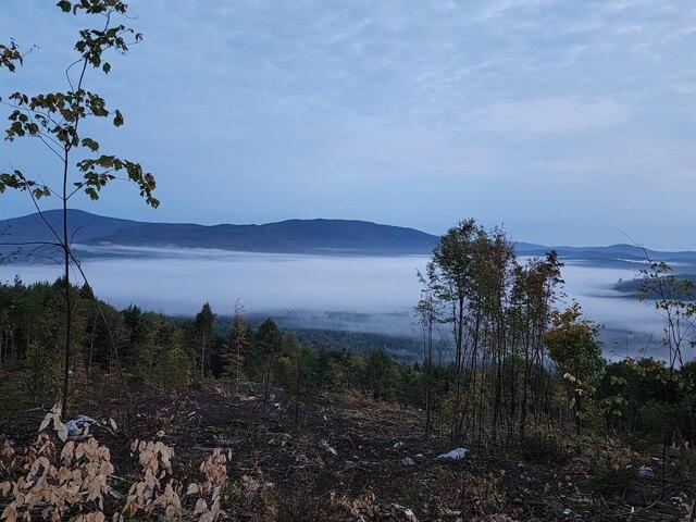 Land for sale in New Hampshire