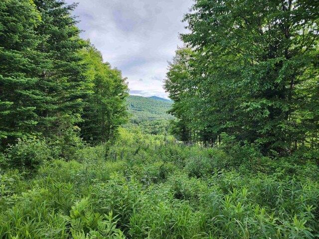 Land for sale in New Hampshire
