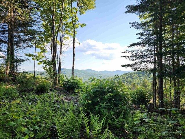 Land for sale in New Hampshire