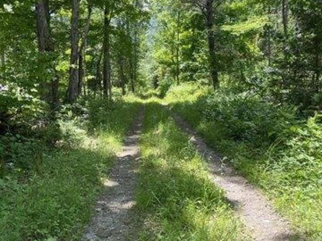 Land for sale in Etna, Maine