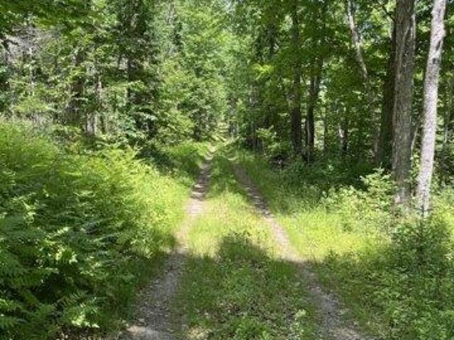 Land for sale in Etna, Maine