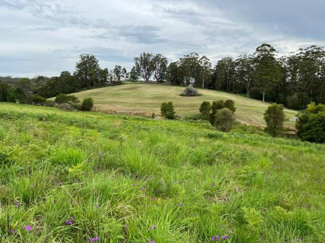 Land for sale in Allgomera, New South Wales