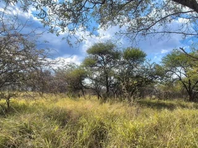 Land for sale