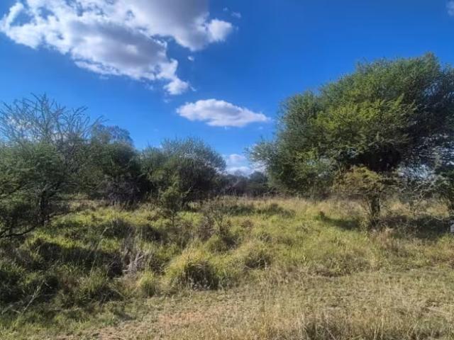 Land for sale