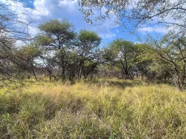 Land for sale