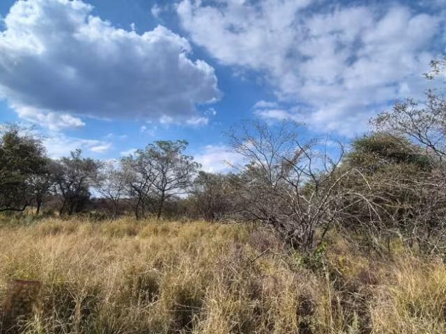 Land for sale
