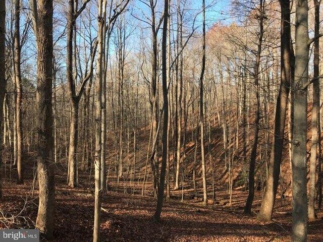 Land for sale in Fairfax Station