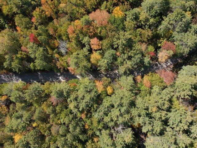 Land for sale in Fairfield, Maine