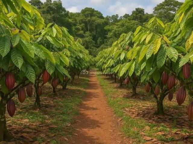 Commercial for sale in Ogun