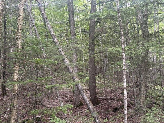 Land for sale in Farmington, Maine