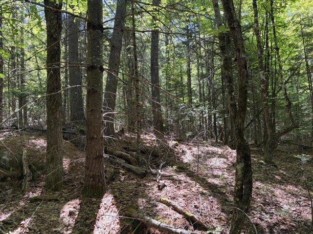 Land for sale in Farmington, Maine