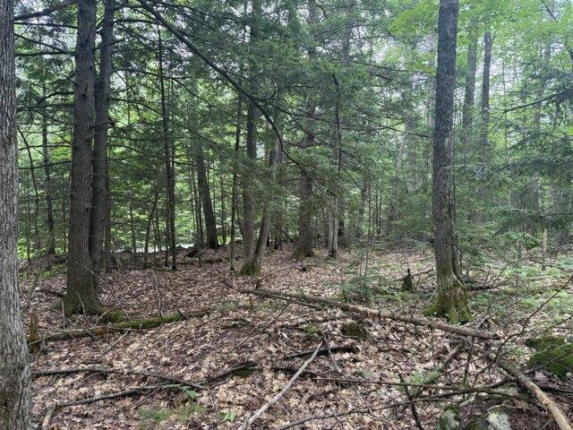 Land for sale in Farmington, Maine