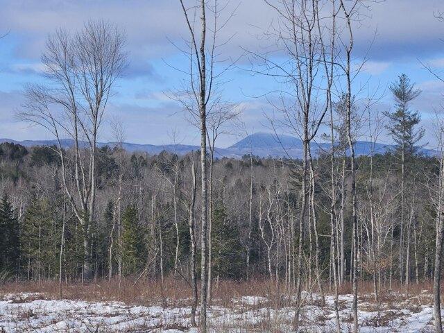 Land for sale in Farmington, Maine