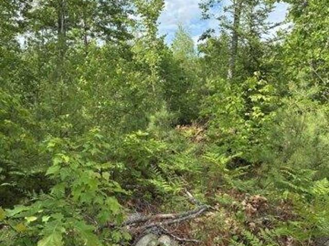 Land for sale in Farmington, Maine