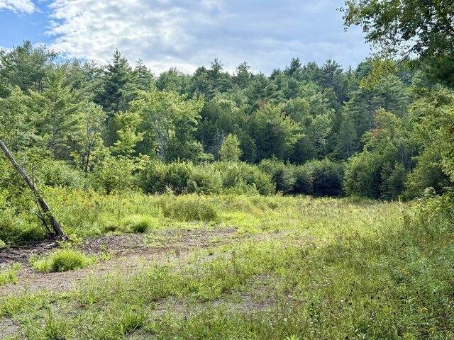 Land for sale in West Farmington, Farmington