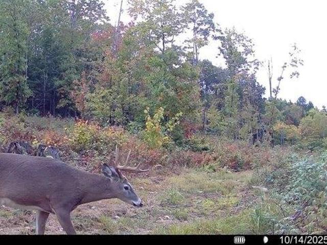 Land for sale in Kents Hill, Maine