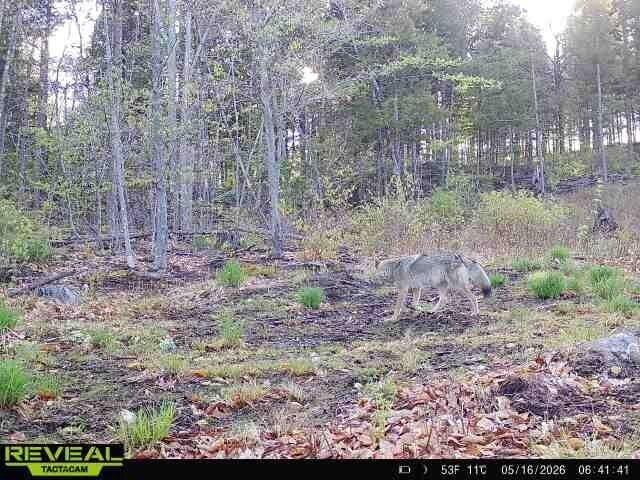 Land for sale in Kents Hill, Maine