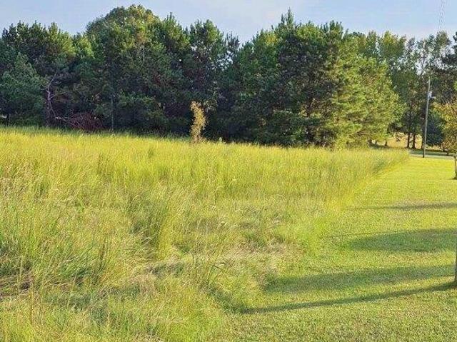 Land for sale in Alabama
