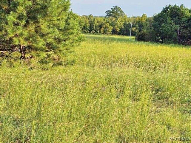 Land for sale in Alabama