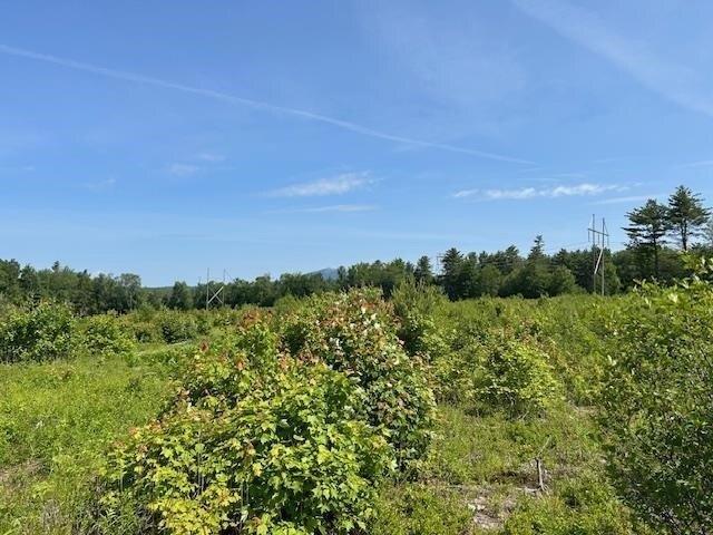 Land for sale in New Hampshire