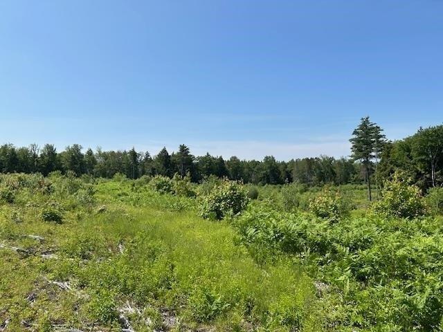 Land for sale in New Hampshire