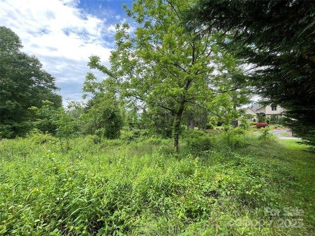 Land for sale in Flat Rock, North Carolina