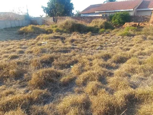 Land for sale in Flora, Aganang Local Municipality