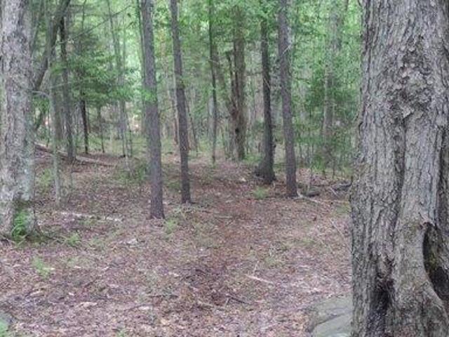 Land for sale in Berkshire, Massachusetts