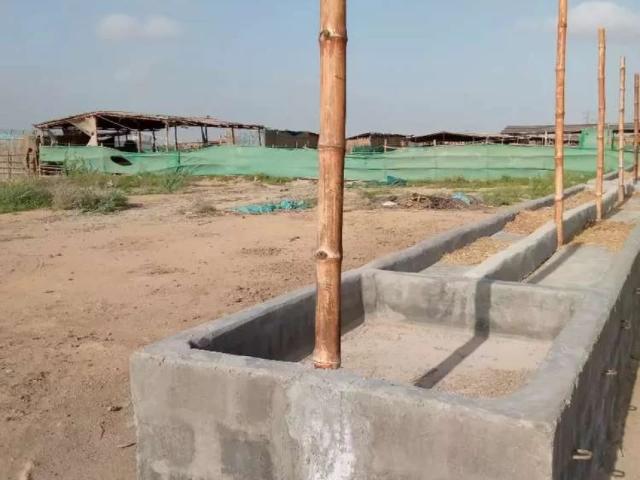 Land for rent in North Waziristan, Federally Administered Tribal Areas fata