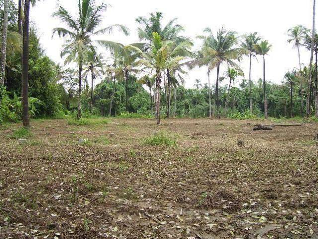 Land for sale in Kochi, Kerala