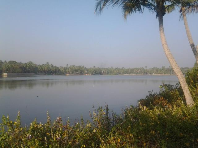 Land for sale in Kollam, Kerala