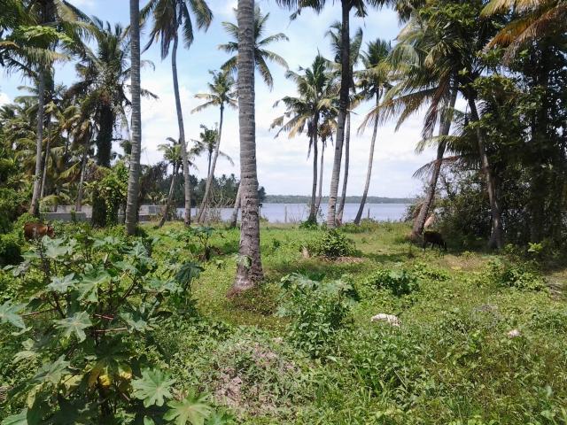 Land for sale in Kollam, Kerala