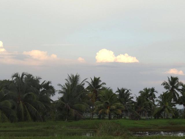 Land for sale in Kottayam, Kerala