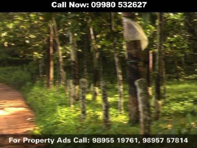 Land for sale in Kottayam, Kerala