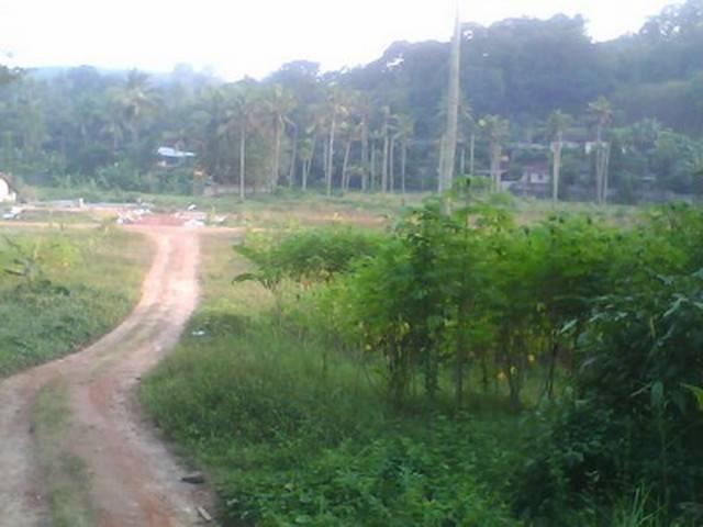 Land for sale in Kottayam, Kerala