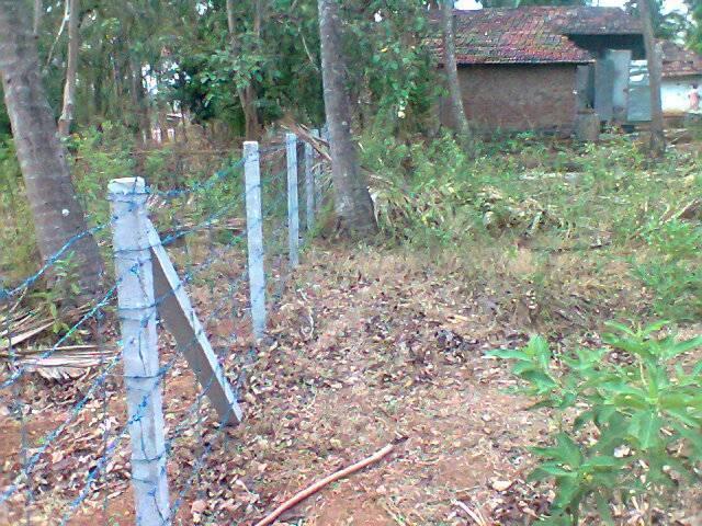Land for sale in Palakkad, Kerala