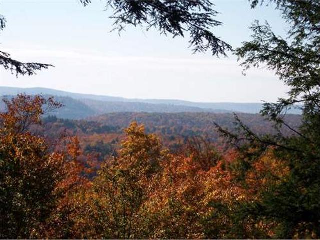 Land for sale in Warren Land for sale in Warren