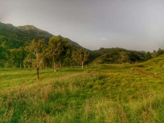 Land for sale in Blue Area, اسلام آباد