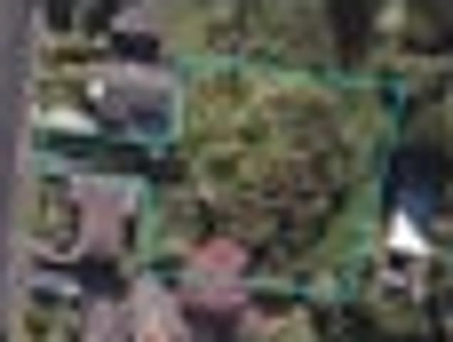 Land for sale in Rapanui