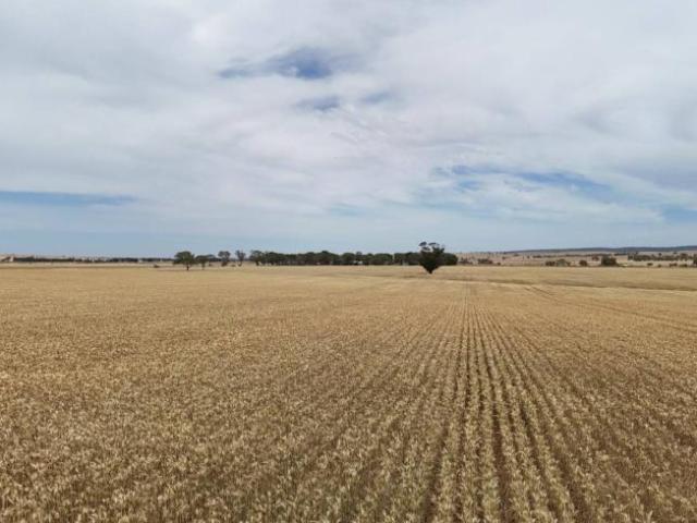Land for sale in Appila, South Australia