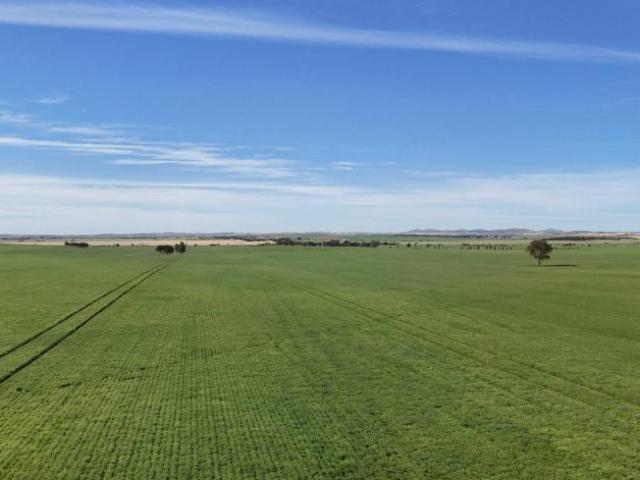 Land for sale in Appila, South Australia