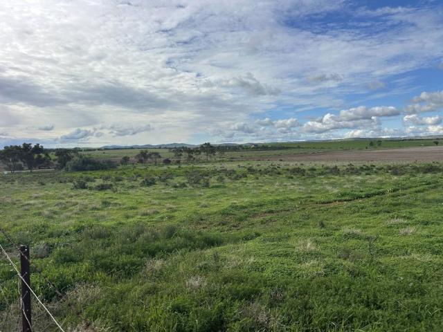 Land for sale in Appila, South Australia