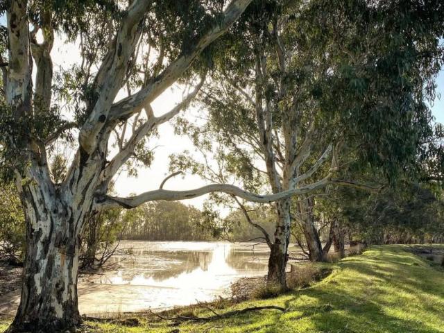 Land for rent in Apsley, Victoria