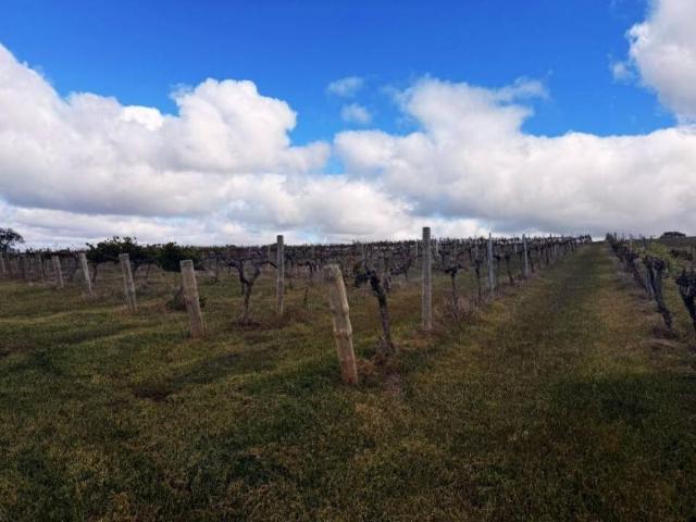 Land for sale in South Australia