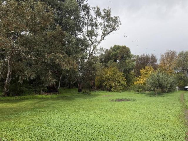 Land for sale in South Australia