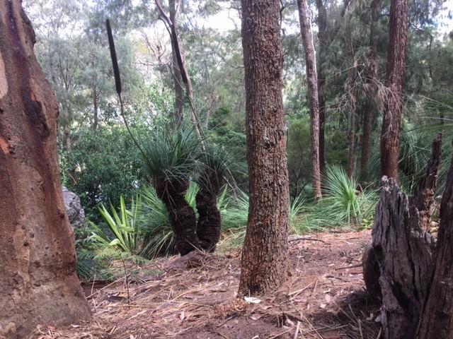 Land for sale in Bar Point, New South Wales