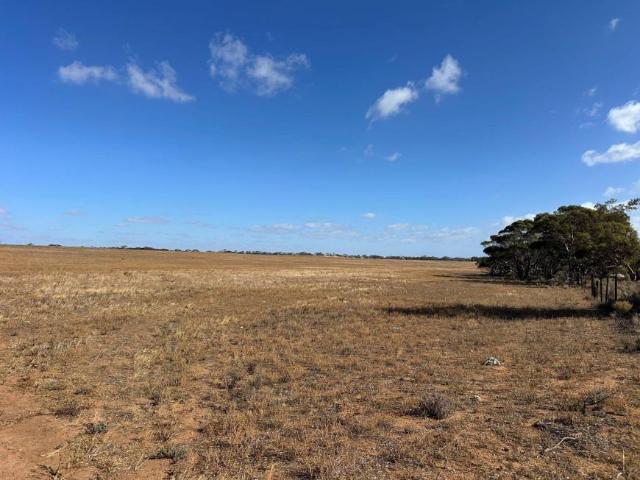 Land for sale in Black Hill, South Australia