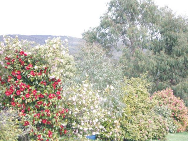 Land for sale in Victoria